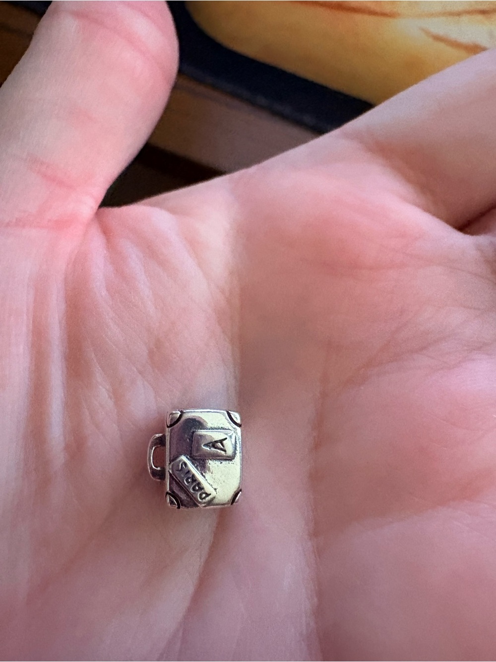 S825 suitcase charm Linx